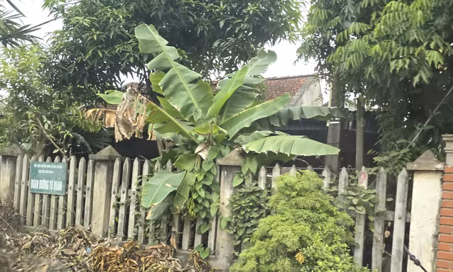 Gia cảnh trắc trở và ‘vết trượt’ của nghi can đâm chết vợ và hai người nghi tình địch 