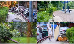 Cảnh hoang tàn, xuống cấp tại vườn hoa 52 tỷ ở Hà Nội