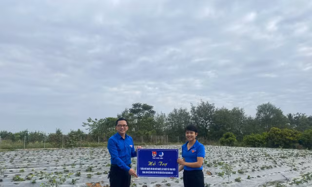 Tạo 'bệ đỡ' để thanh niên Điện Biên lập nghiệp bền vững