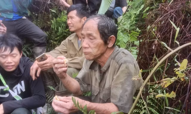 Tìm thấy người đàn ông mất tích trong rừng ở Tuyên Quang