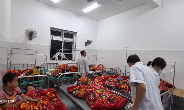 Lai Châu: Hơn 200 học sinh ngộ độc nghi do ăn quả lạ 