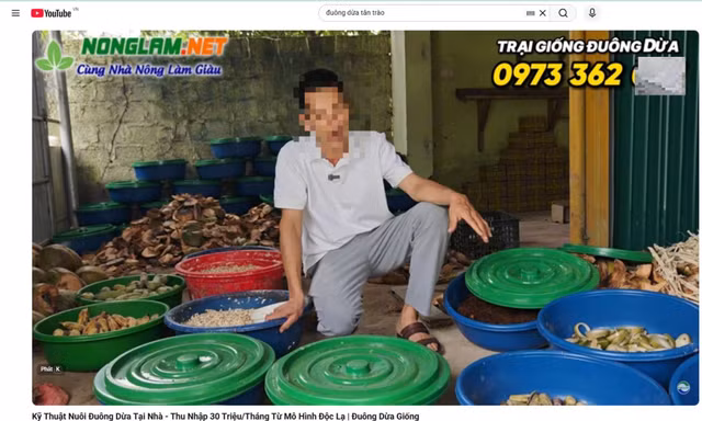 Cơ quan chức năng vào cuộc vụ bẫy bao tiêu nuôi con đặc sản 