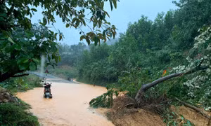 Quảng Trị di dời khẩn cấp nhiều hộ dân để ứng phó với mưa lũ 
