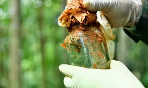 Phát hiện năm hài cốt liệt sĩ cùng nhiều di vật có thể lưu thông tin danh tính 