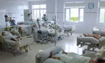 Rắn độc liên tiếp tấn công người, bác sĩ cảnh báo hiểm họa rình rập mùa mưa