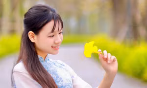 Hà Nội xao xuyến mùa hoa ban tím, phong linh nhuộm vàng góc phố