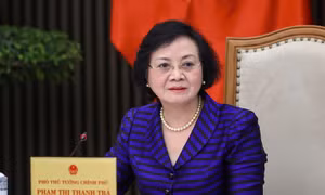 Phó Thủ tướng Phạm Thị Thanh Trà làm Trưởng Ban Chỉ đạo quốc gia phát triển ngành dược
