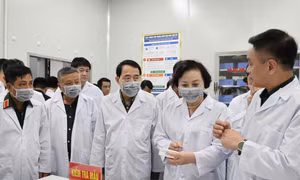 Phó Thủ tướng Phạm Thị Thanh Trà: Tăng tốc xác định danh tính liệt sĩ bằng ADN