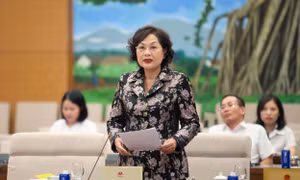 Bảo hiểm tiền gửi cả 100.000 tỷ, tìm cách sử dụng không chờ đến khi phá sản