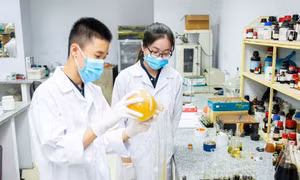 Quy định mới về tuyển dụng viên chức, trả lương theo vị trí việc làm