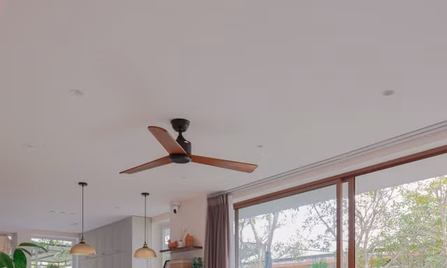 Không gian với góc nhà đầy hoa lá, tràn ngập ánh sáng