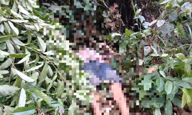 Người đàn ông tử vong dưới đường dây điện khi đi bẫy chim