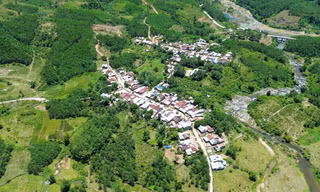 Lao Đu đã hết lao đao 
