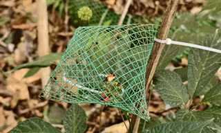 Thủ phủ sân Ngọc Linh Ảnh: Nguyễn Ngọc