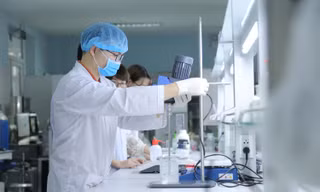 Sinh viên ÐH Quốc gia Hà Nội thực hành trong phòng thí nghiệm. Ảnh: Hoa Ban