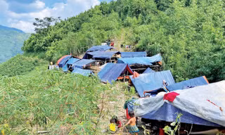 Lán trại của người dân thôn Kho Vàng tránh lũ dữ