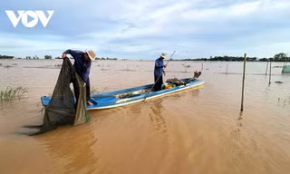 Mùa nước nổi về sớm (giữa tháng 8/2025), người dân đầu nguồn ĐBSCL đánh bắt tôm, cá…Ảnh: VOV 