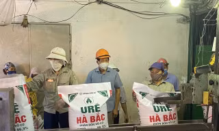 Dù từng được xóa nợ trên 2.000 tỷ đồng, Công ty Cổ phần Phân đạm và Hóa chất Hà Bắc còn khối nợ lớn, lỗ lũy kế hơn 2.000 tỷ đồng