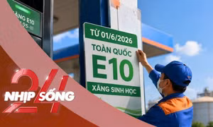 NHỊP SỐNG 24: Xăng sinh học E10 bán đại trà từ hôm nay, Bộ Công thương khuyến cáo người dùng điều gì?