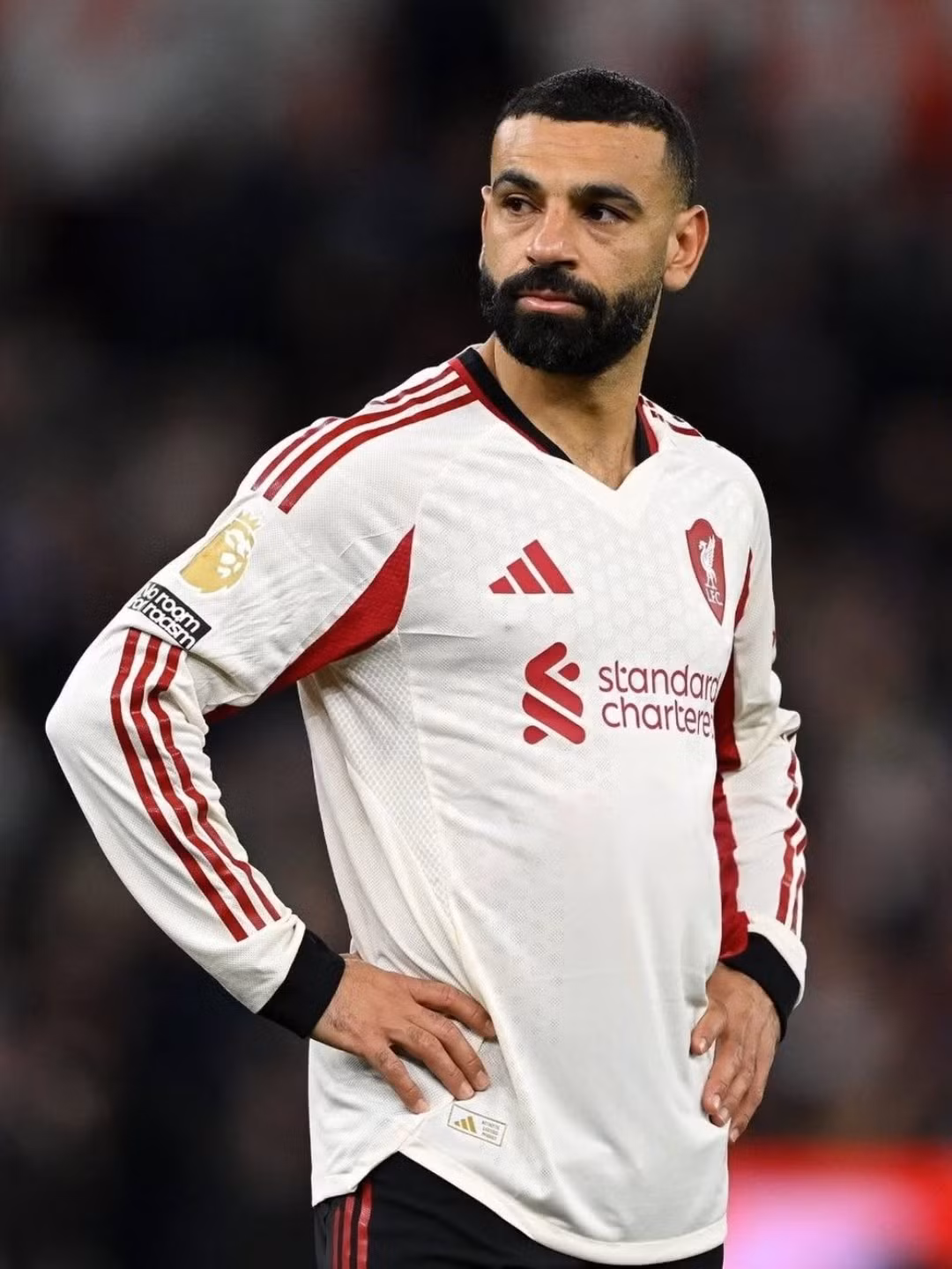mosalah-701623376-18616134454002045-1327846104380645837-n-6487.jpg