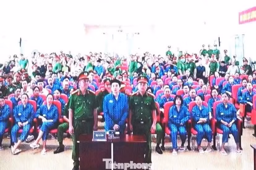 1786936172596-402604765315907490-g8814976585746711393-4650dd00e26950a04908b6f6fcfbe6c8-6528.jpg