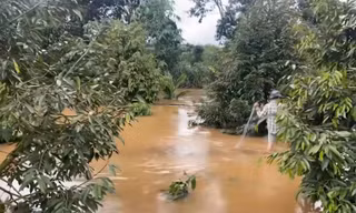 Hơn 5.000 cây trồng bị ngập, thiệt hại tiền tỷ ở Đắk Lắk