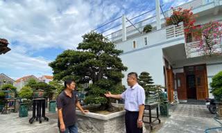 Gặp ông chủ khu vườn tiền tỷ, bán 1 cây xây nhà lầu ở Đắk Lắk