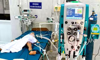 Một trẻ tử vong, hai trẻ cấp cứu vì ong vò vẽ đốt khi đang chơi trong sân