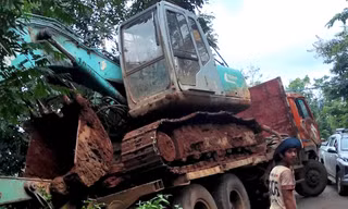 Xe tải mất phanh, tông chết 18 con bò, tài xế phải đền hơn 300 triệu đồng