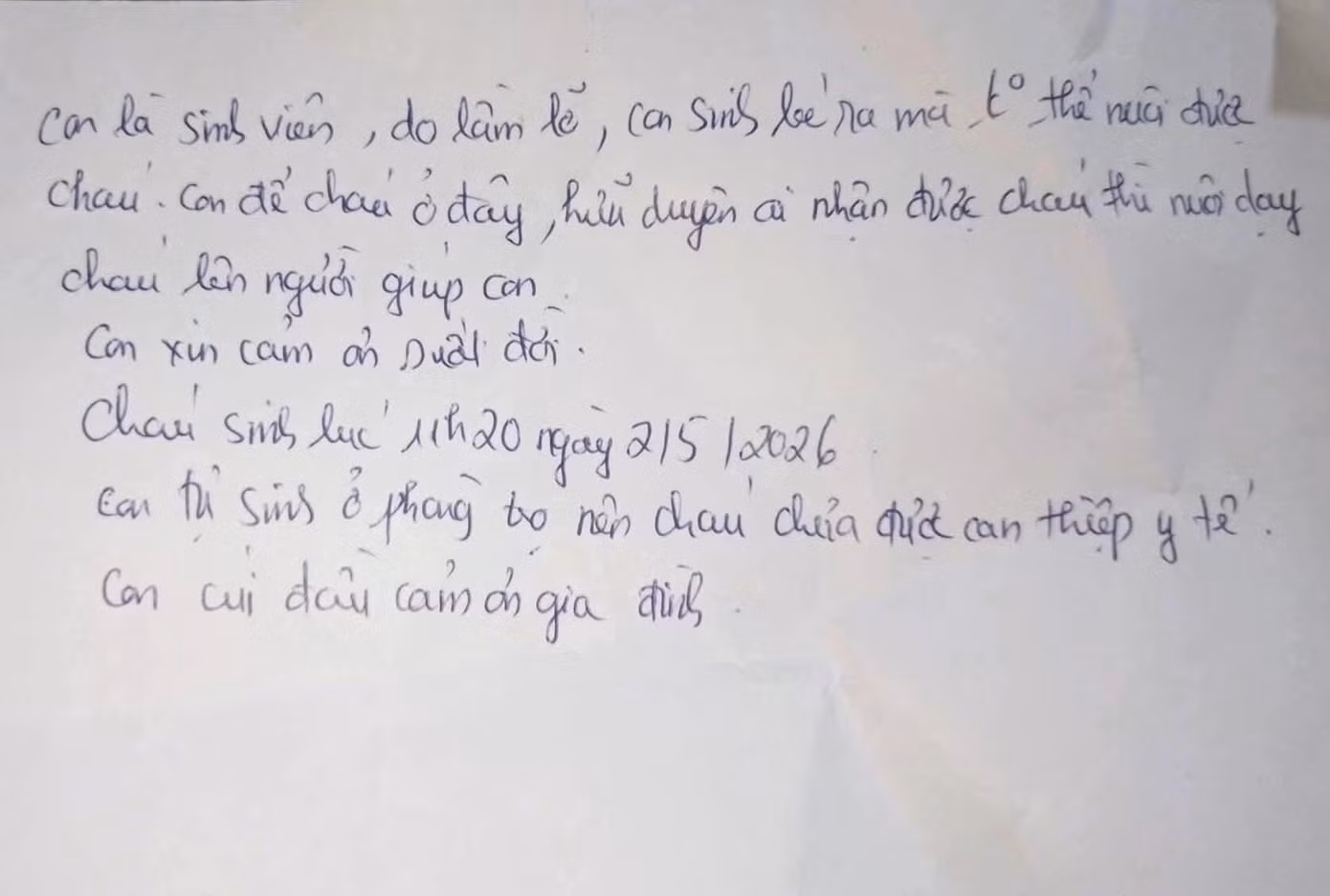 22.jpg