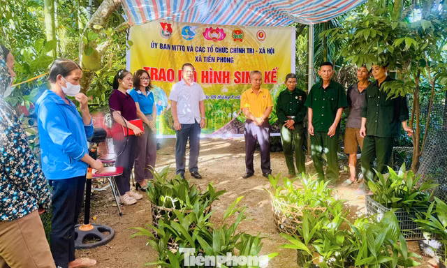 Hướng sinh kế giúp bà con miền núi Nghệ An thoát nghèo