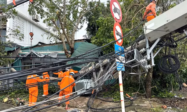 Lưới điện ở Nghệ An thiệt hại nặng nề sau bão số 10