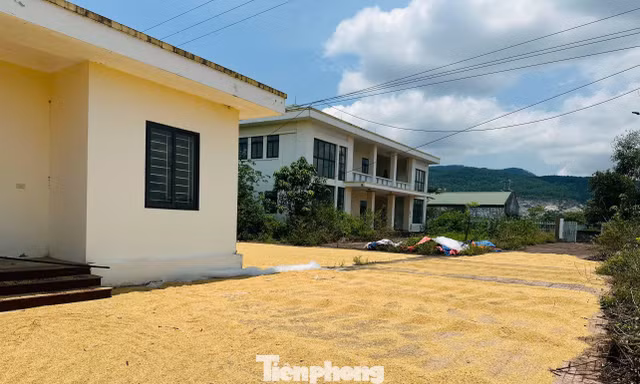 Trạm kiểm dịch động vật xây xong bỏ hoang, thành nơi phơi lúa