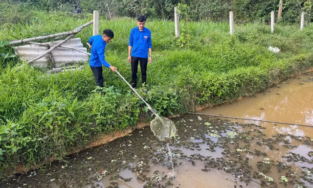Những người trẻ quyết làm giàu trên vùng đất khó