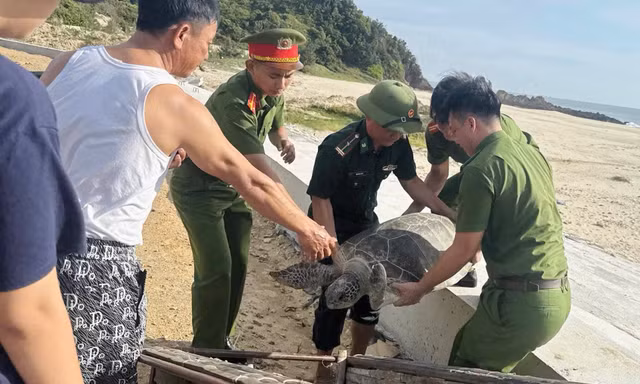 Bắt gặp 'vị khách' quý trong lưới, ngư dân có hành động bất ngờ