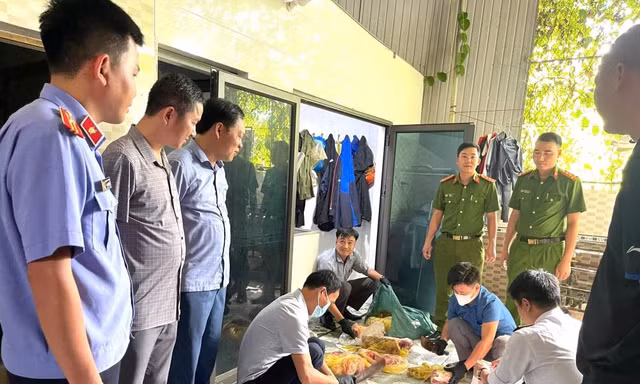 Bắt giam người thu mua lợn bệnh, cấp đông rồi bán kiếm lời