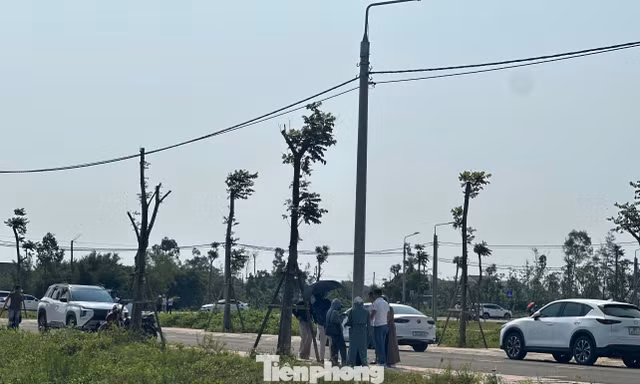 Đất nông thôn vùng quê bất ngờ 'sốt', ô tô đổ về kín đường