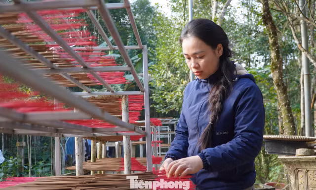 ‘Thủ phủ’ cây dó bầu nhộn nhịp vào vụ trầm Tết