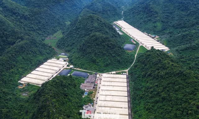 Vụ tai nạn trong trại lợn làm 5 người chết: Doanh nghiệp từng bị xử phạt về môi trường