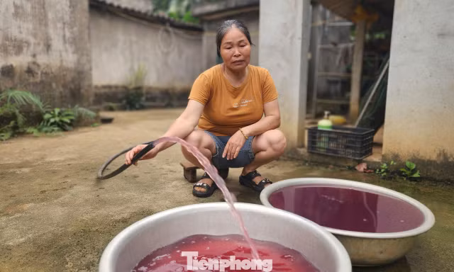 Nhân viên nhà máy giặt ngủ quên khiến nước giếng khoan đổi màu tím