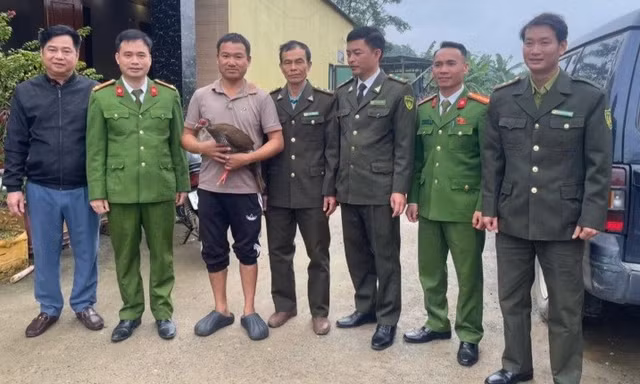 Người dân bắt được gà lôi trắng khi đi rừng