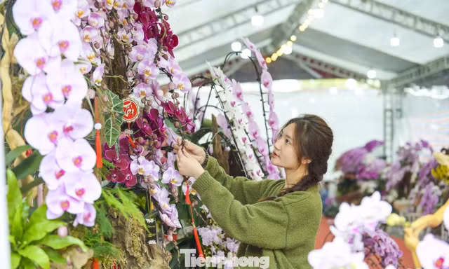 Nông dân Thanh Hóa chi hơn 10 tỷ làm vườn lan 4 vạn cây