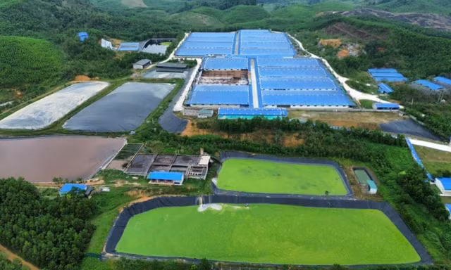 Trại lợn 30.000 con ở Thanh Hoá gây ô nhiễm nặng