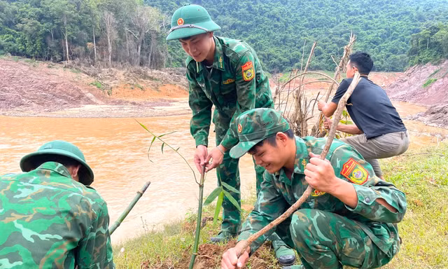 Trồng tre chống sạt lở, giúp dân bản biên giới có sinh kế phát triển kinh tế