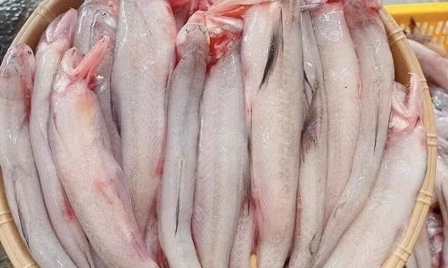 Phát hiện nhiều khu chợ bán cá cháo có chứa chất cấm