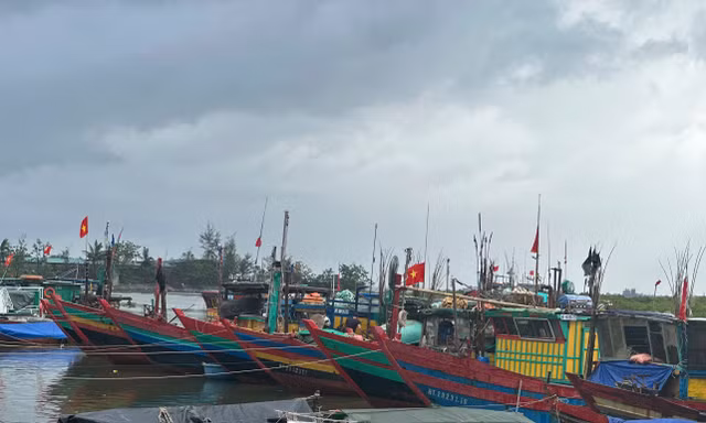 Tìm thấy thi thể bé trai 6 tuổi mất tích ở khu neo đậu thuyền