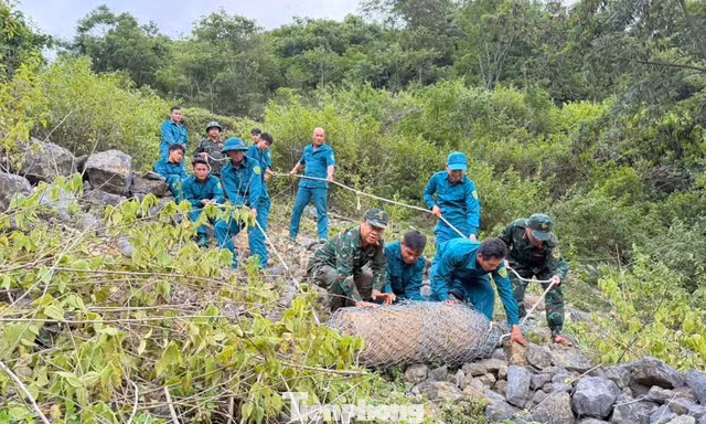 Đào móng làm nhà phát hiện quả bom nặng 350 kg còn nguyên kíp nổ