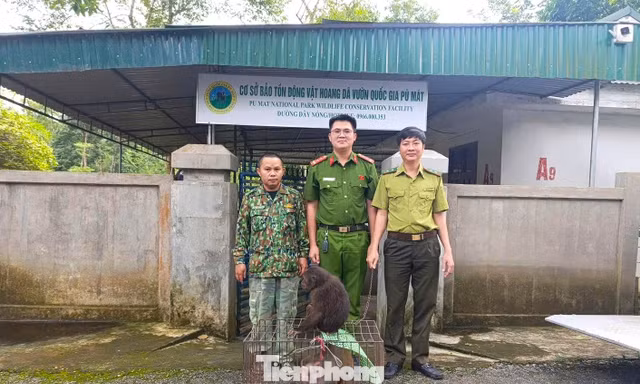 Hai cá thể khỉ quý hiếm bất ngờ đi lạc vào nhà dân
