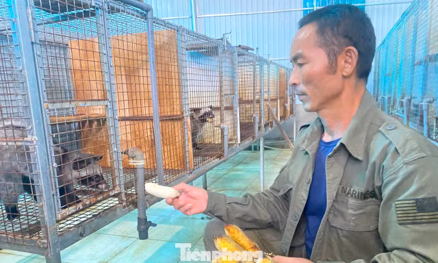 Điểm sáng về phát triển kinh tế nông thôn ở Nghệ An