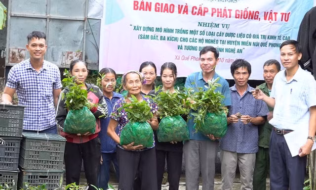 Hàng nghìn hộ dân miền núi có thêm sinh kế, nghề nghiệp mới